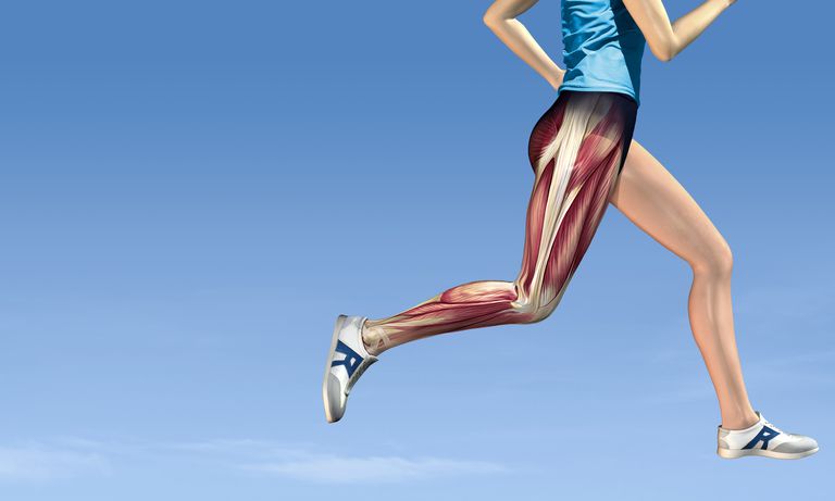 sporta aktivitātes, ātrs veids, kustības virzienu, piriformis muskuļu, pirms intensīvas, plecu stiept