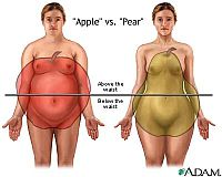 ķermeņa tauku, vīriešiem sievietēm, līdz procentiem, sirds slimību