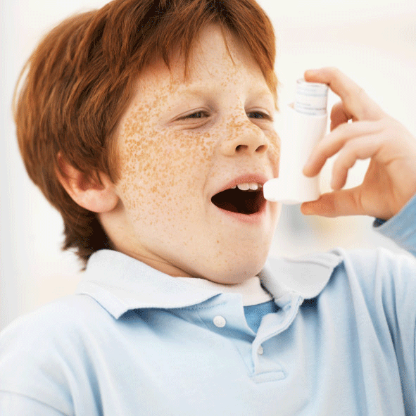 alerģiskas astmas, alerģiska astma, alerģiskas astmas ārstēšanai, alerģisku astmu, ārstēšanas sastāvdaļa, astmas ārstēšanai