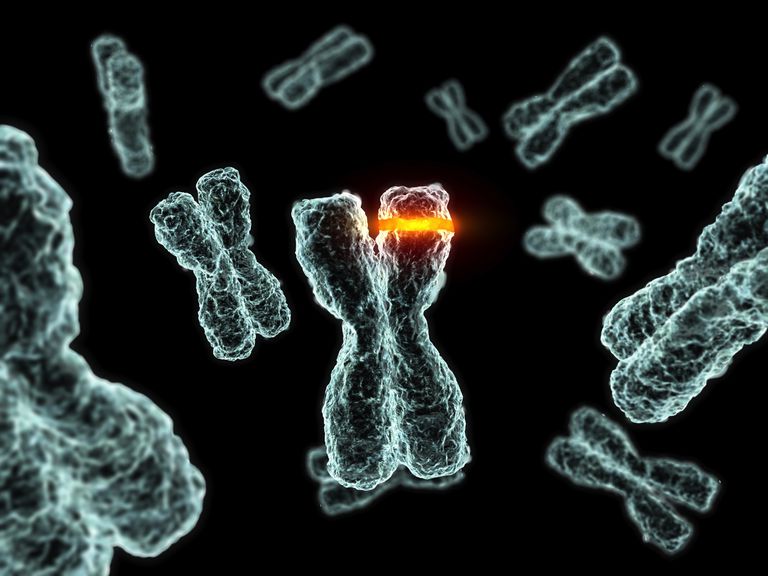 ģenētiskās izmaiņas, citas hromosomas, daļa vienas, daļa vienas hromosomas