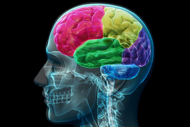 dziļu smadzeņu, dziļu smadzeņu stimulāciju, smadzeņu stimulāciju, antiholīnerģisko līdzekļu, ārstētu distoniju, ķermeņa daļu