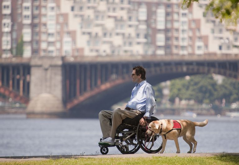 invaliditāte vienā, mērena invaliditāte, metrus atbalsta, viegla invaliditāte, viņš viņa, atbalsta atpūtas