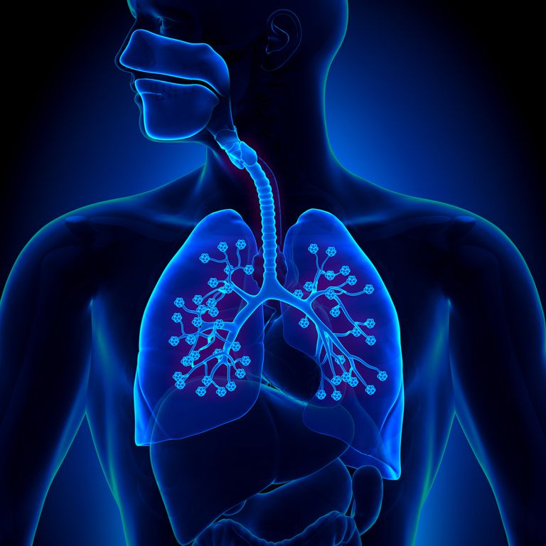 abās plaušās, balonu formas, distresa sindroms, dūmi ietekmē, elpošanas ceļa, elpošanas sistēmas