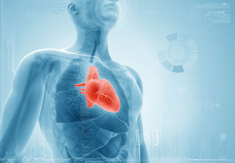 sirds mazspēju, sirds mazspēja, klīniskajos pētījumos, sirds mazspējas