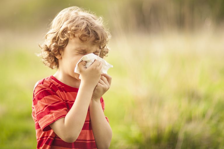 maziem bērniem, ļoti maziem, ļoti maziem bērniem, Pārtikas alerģijas, alerģisku rinītu, astmas simptomi
