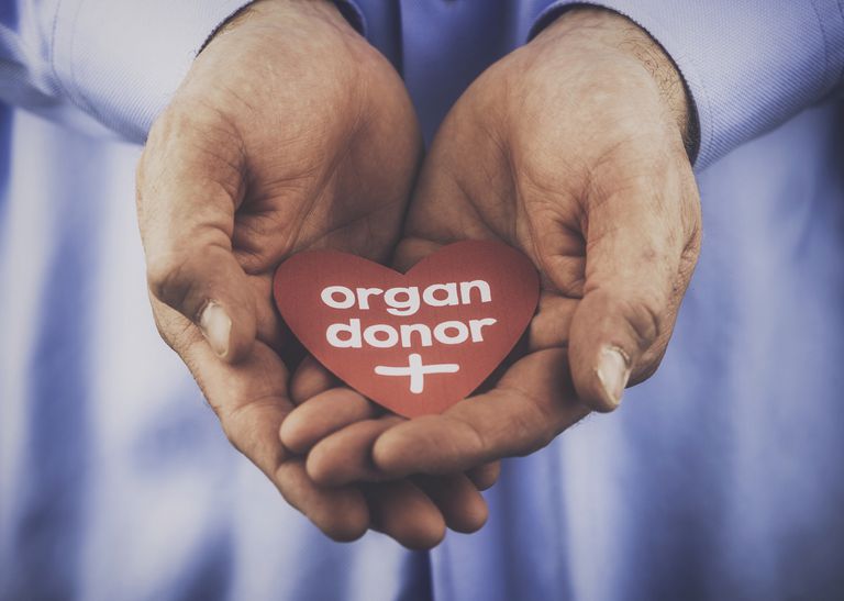 cīnīties pret, donoru saņēmēju, orgānu transplantācijas, tiek veikta