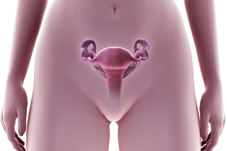 esat ovulācija, dzemdes kakla, kakla gļotas, menstruālo ciklu, noteikt esat