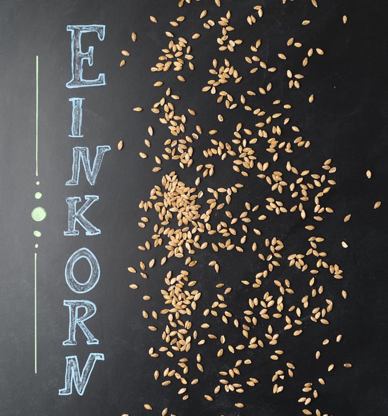 Einkorn kvieši, 2012 gadā, Einkorn kviešiem, Graziella Kamut, imūnsistēmas reakcijas, kviešu celmi