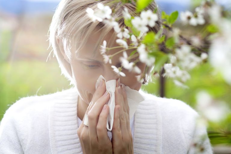 starp alerģijām, saikni starp, saikni starp alerģijām, antihistamīna līdzekļiem, antihistamīna līdzekļiem piemēram, jūsu alerģijas