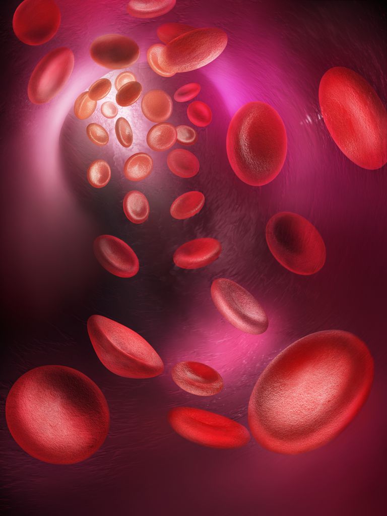 asins šūnu, asins šūnas, balto asins, asins šūnu trombocītu, balto asins šūnu, šūnu trombocītu
