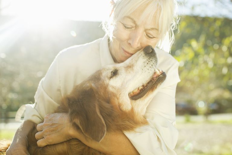 mājdzīvnieku terapija, Dzīvnieku terapija, jūsu suns, palīdz cilvēkiem