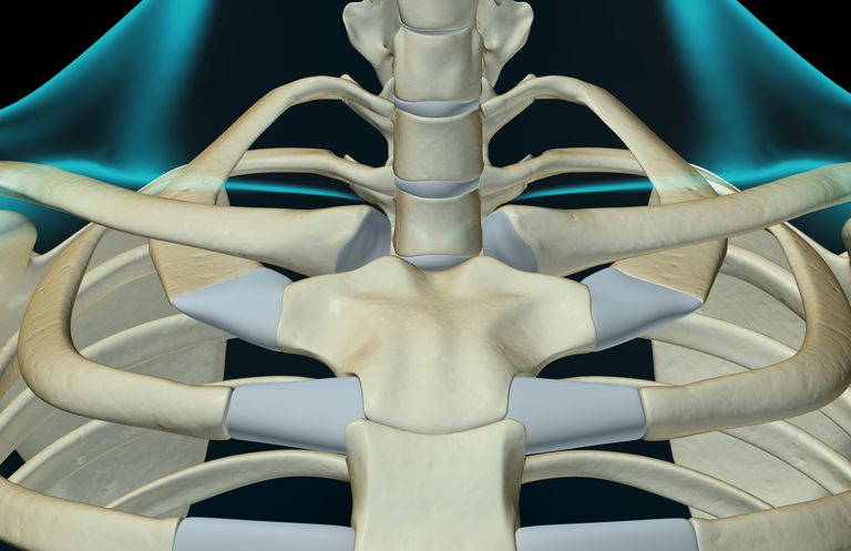 krūšu kaula, tiek veikta, Sternoclavicular locītavu, aizmugurējā dislokācija, Augšanas plāksne, pārvietotu locītavu