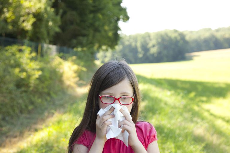 zāļu alerģija, aizlikts deguns, alerģija Alerģijas, alerģija izplatīta