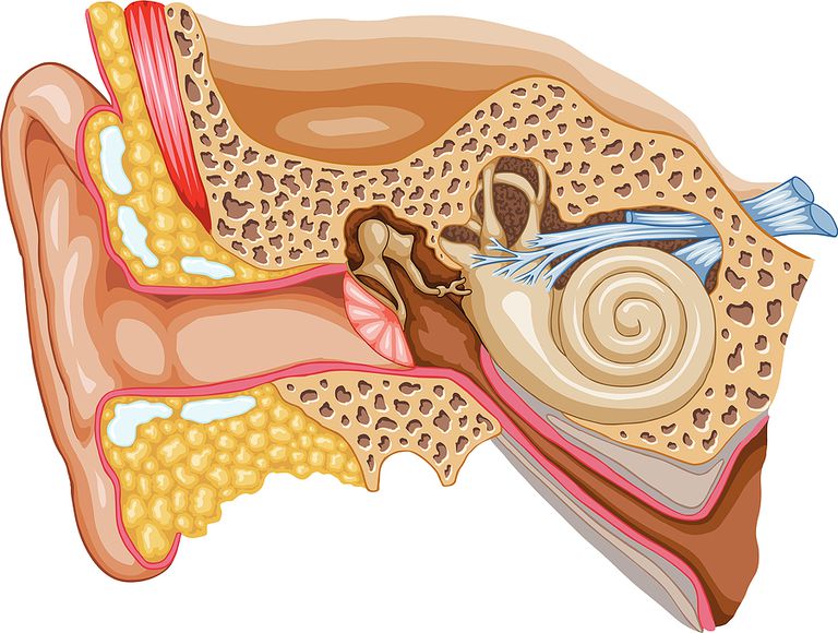 troksnis ausīs, American Tinnitus, American Tinnitus Association, smags troksnis, smags troksnis ausīs, Tinnitus Association
