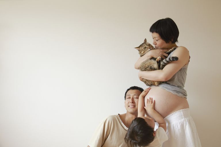 grūtniecības laikā, kaķu pakaišus, pašā veidā