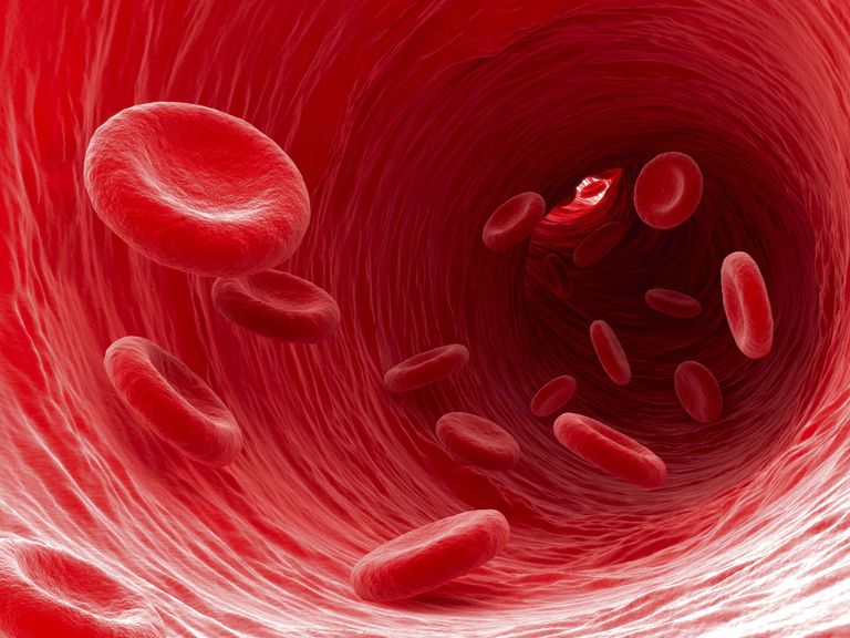 polycythemia vera, asins šūnu, sarkano asins, sarkano asins šūnu, līdz procentiem, asins šūnu trombocītu