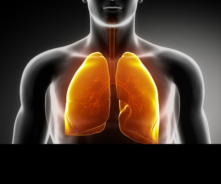 plaušu vēzis, agrīnā stadijā, plaušu vēža, plaušu vēzi