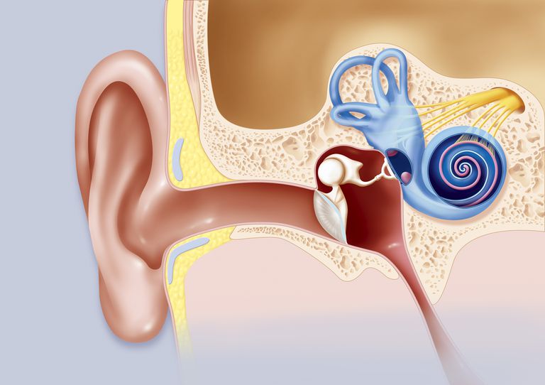 troksni ausīs, troksnis ausīs, izraisa migrēnas, ausīs migrēni, centrālā sensibilizācija