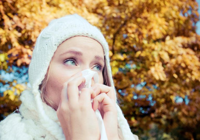 alerģijas krituma, alerģijas sezonu, galvenais alerģijas, rudens mēnešos, siltas dienas, ziedputekšņu skaits