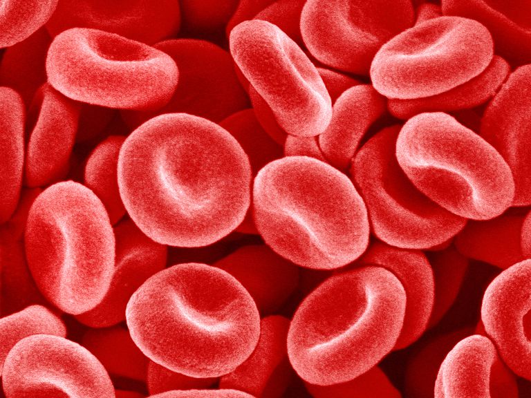 asins šūnu, G6PD deficītu, G6PD līmenis, G6PD trūkums, sarkano asins